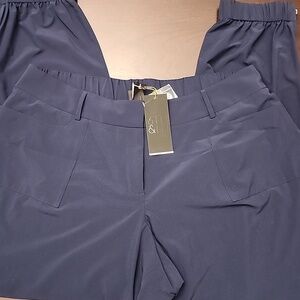 NWT 6TH & LANE Lightweight Pants SIZE 18
